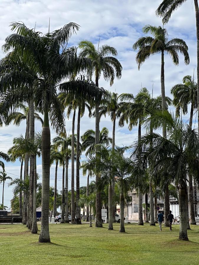 Ibis Styles Cayenne Centre Amazonia Hotel Luaran gambar